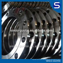 high quality DIN standard SS forged flange